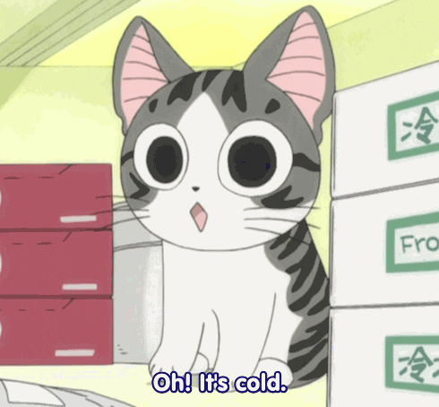 Kotek chowa się w szafce, ponieważ jest mu zimno